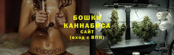 дмт Дмитров