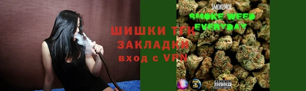 дмт Дмитров