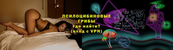 гидра Дмитриев
