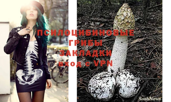 бошки Дмитровск