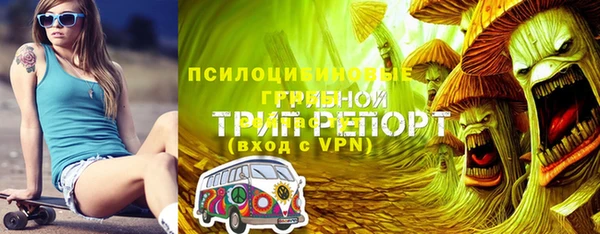 гидра Дмитриев