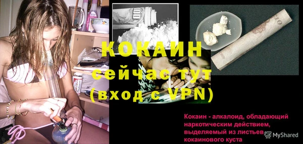 дмт Дмитров