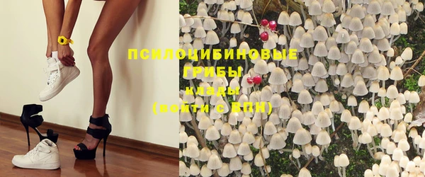 бошки Дмитровск