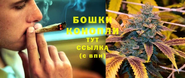 гидра Дмитриев