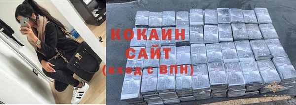 дмт Дмитров