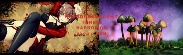 дмт Дмитров